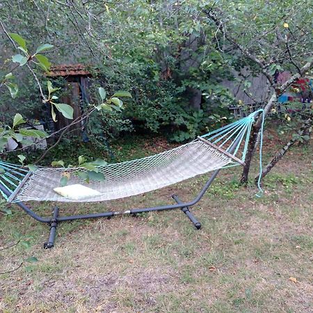 Appart Independant, 1 Lit Deux Personnes Et 1 Appoint Piscine Jardin Direct Gare Aeroport Et Jardin Toulouse Ngoại thất bức ảnh