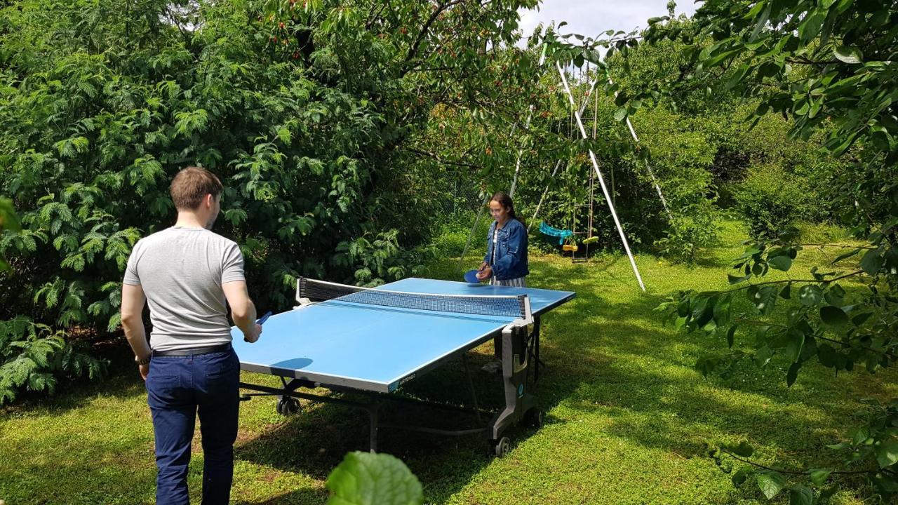 Appart Independant, 1 Lit Deux Personnes Et 1 Appoint Piscine Jardin Direct Gare Aeroport Et Jardin Toulouse Ngoại thất bức ảnh