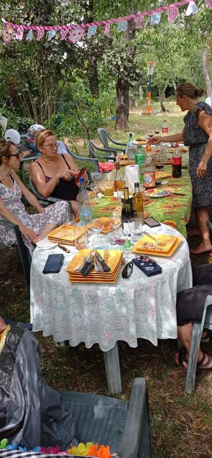 Appart Independant, 1 Lit Deux Personnes Et 1 Appoint Piscine Jardin Direct Gare Aeroport Et Jardin Toulouse Ngoại thất bức ảnh