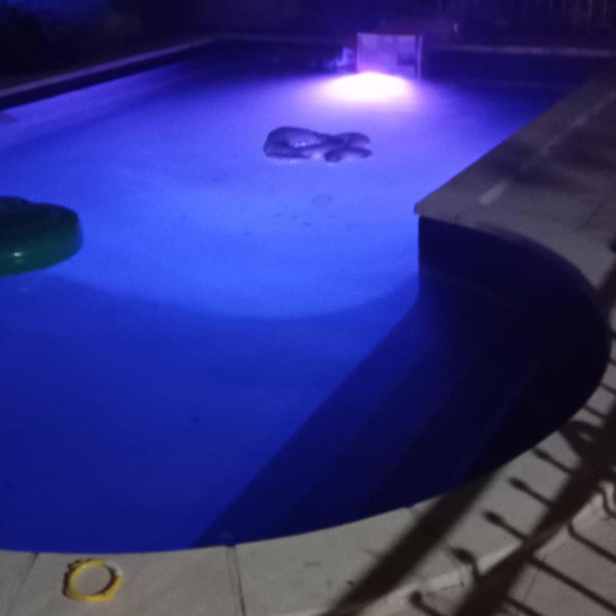 Appart Independant, 1 Lit Deux Personnes Et 1 Appoint Piscine Jardin Direct Gare Aeroport Et Jardin Toulouse Ngoại thất bức ảnh