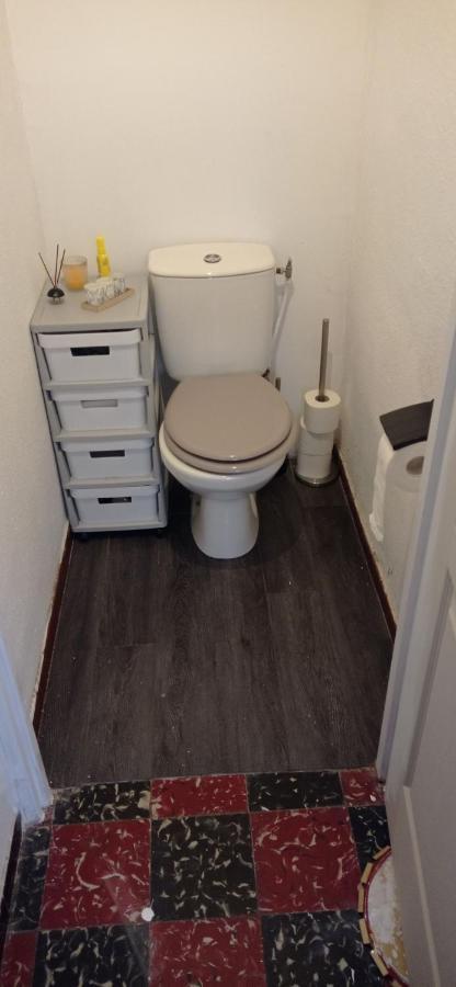 Appart Independant, 1 Lit Deux Personnes Et 1 Appoint Piscine Jardin Direct Gare Aeroport Et Jardin Toulouse Ngoại thất bức ảnh